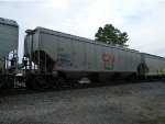 CN 113471 is new to RRPA!